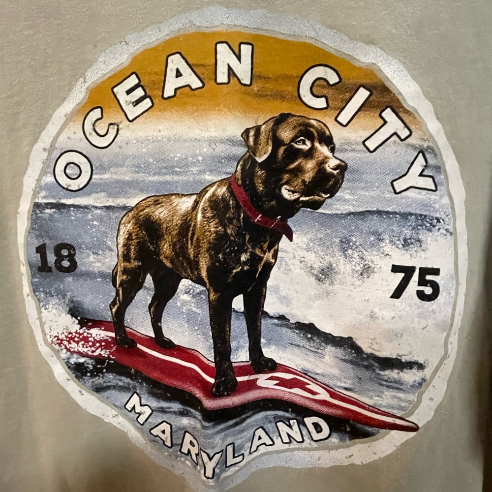 OCEAN
CITY - Picture 3 of 5